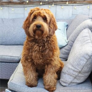 outside sofa