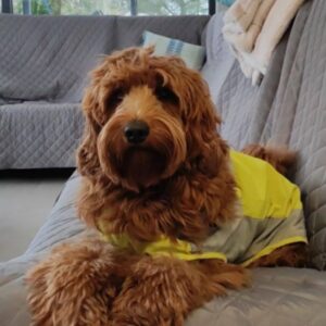 raincoat
