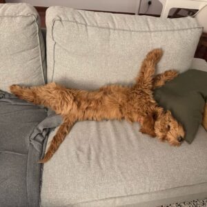 stretch